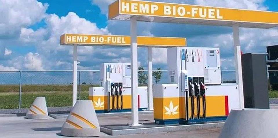 Hemp Bio Fuel